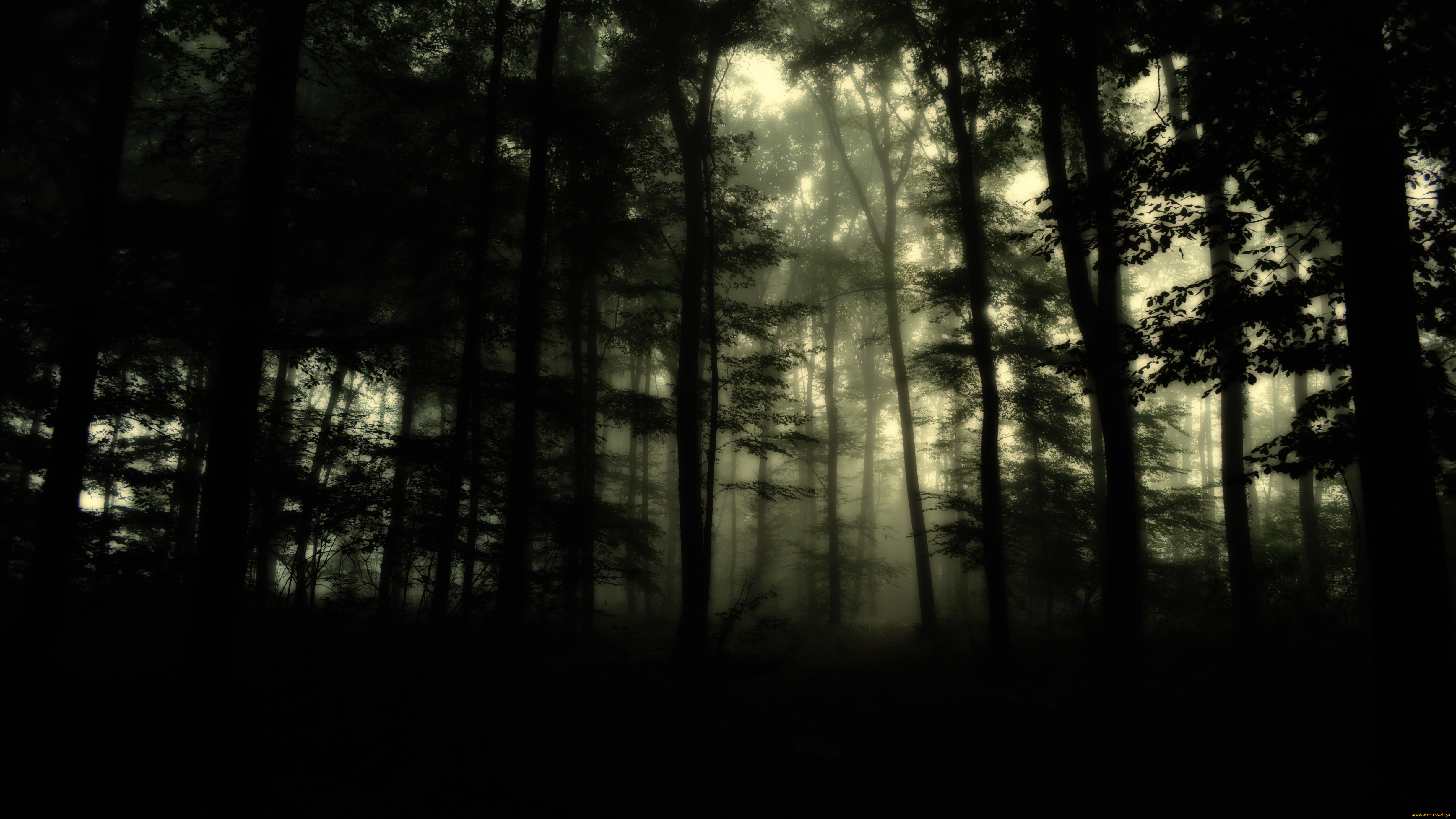 3 ,  , nature, , 